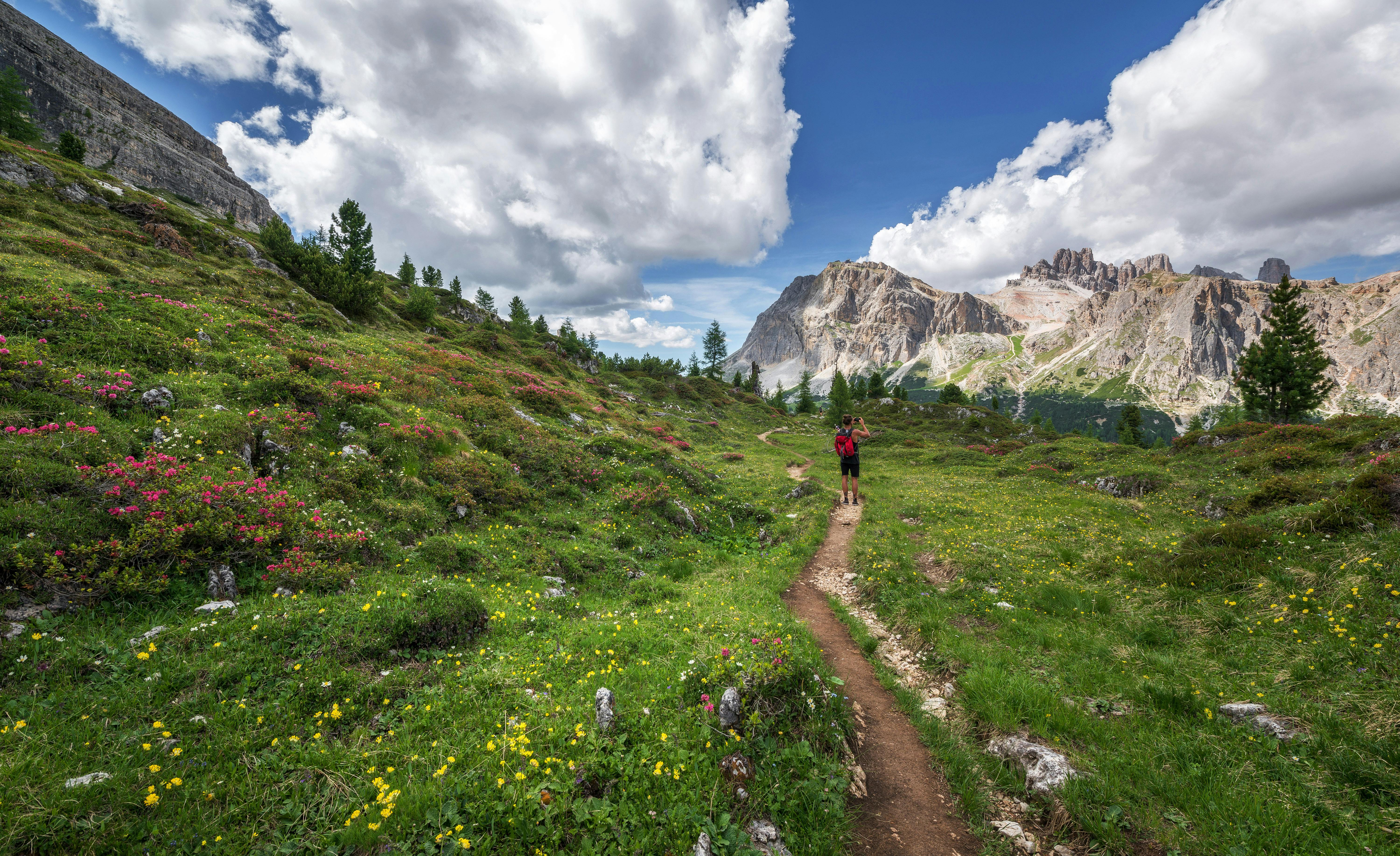 Trail runners in June sun